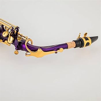Amazon.com: Professional Saxophone Eb Alto Saxophone Unique