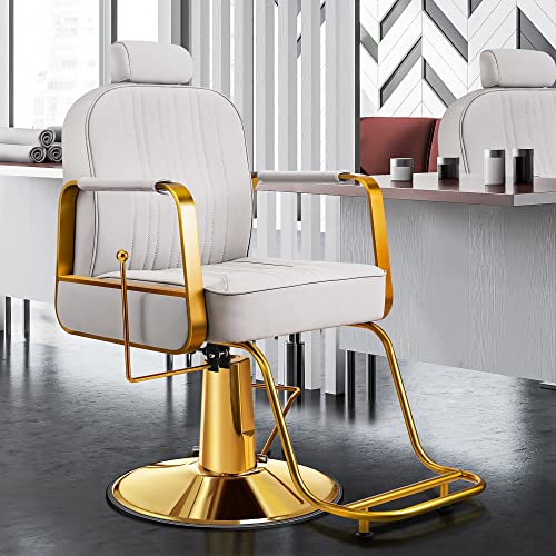 Baasha Barber Chair Reclining Salon Chair For Hair Stylist, All-Purpose Hair Chair With Hydraulic Pump, Profession Hair Salon Chair Shampoo Chair Tattoo Chair, Beauty Salon Equipment, Gray #TOP1