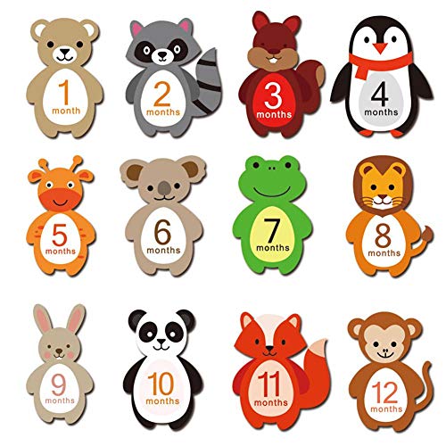 Domybest 12 Pezzi Adesivi Nascita Bimbo Adesivi