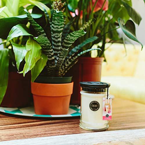 Bridgewater Candle 18Oz Large Soy Wax Blend Fragranced Jar Candle-Let's Celebrate #TOP3