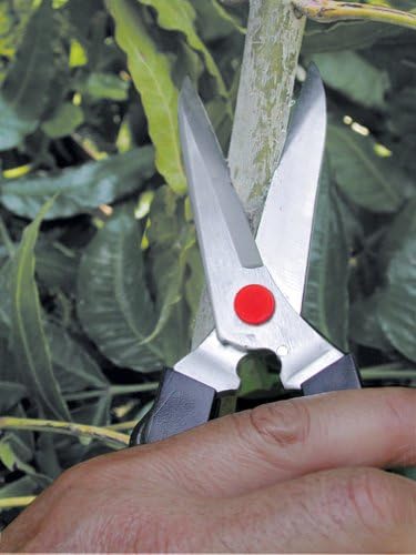 Shark Corporation 62-5337 Garden Multi-Purpose Shears