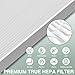isinlive 115115 Replacement Filters A Size 21 for Winix PlasmaWave 5300-2, C535, 6300, 5300, 6300-2, P300, AM90, 9000, 5000, 5000B, C909, 9800 Air Purifier, 4 Pack True HEPA Filter