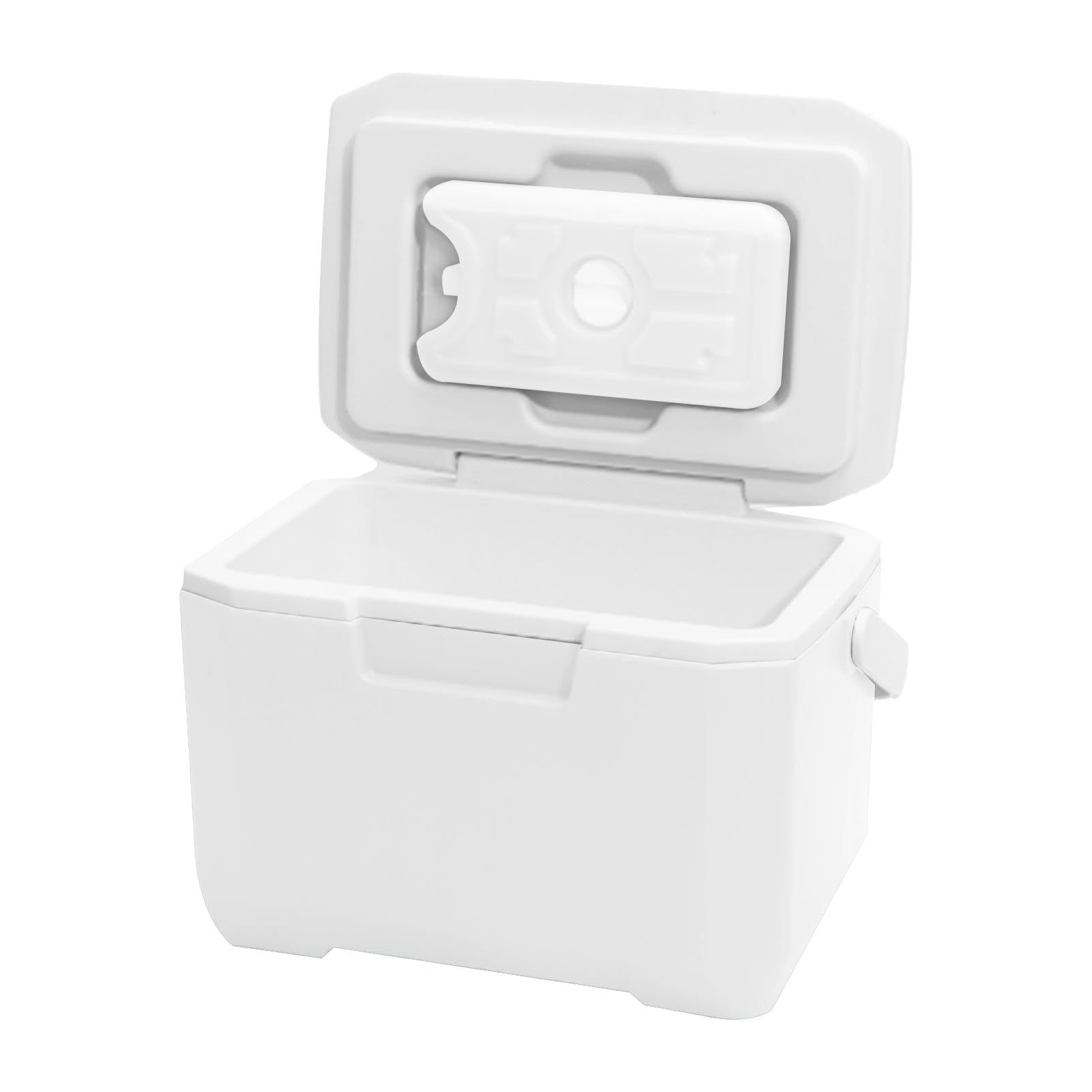 Neveras para Acampar | Nevera Portátil De 6 litros para Picnic | Pequeña Nevera Portátil, Refrigerador Portátil para Exteriores, Caja De Refrigeración para,Camping, Picnic, Paseos En Bote, Playa