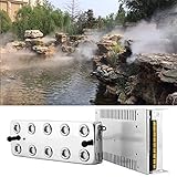 TTLIFE 10 Head Ultrasonic Mist Maker Fogger 250W 5KG/H Mist Maker Fogger Air Humidifier w/Transformer Accessories for Industrial Scenic Agriculture Greenhouse Hydroponics Garden/Lawn/Pond