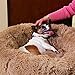 Mediashop Peaceful Pooch S - Flauschiges Hundebett & Katzenbett - gelenkschondendes Hundekissen - waschbarer Bezug - Hundekörbchen - Donut Kissen für Hunde & Katzen