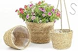 3er Set Übertopf Korb Blumentopf, Seegras Geflochten Blumenkorb Übertöpfe Pflanzenkörbe 2 Stück Ф25cm/Ф22cm, Rattan Blumenampel Hängetopf für Balkon 1 Stück Ф20cm