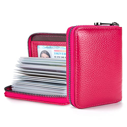 Aiyo Fashion Genuine Leather Credit Card Holder Wallet RFID Blocking Secure Card Case ID Case Organizer Zipper Wallet