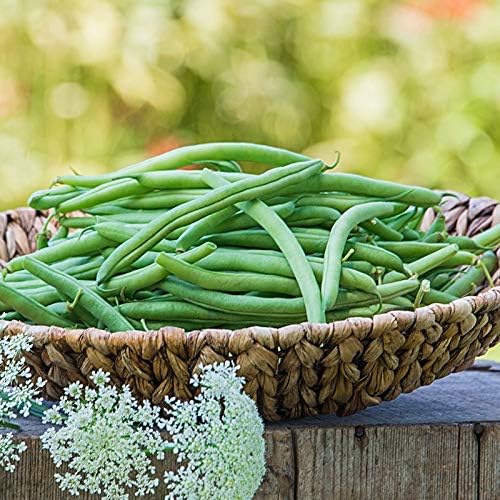 Miniatura 4 de Semillas de frijol de jade para plantar, más de 50 semillas de reliquia por paquete, semillas de jardín de Isla (semillas de jardín de Isla),