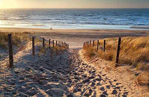 VLIES Fototapete-DÜNEN-(5787JM)-350x260 cm-Foto-Kunst Strand Küste Sand...