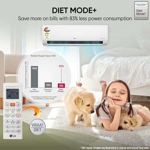 LG 1 Ton 5 Star Dual Inverter Split AC view 10