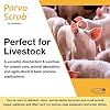 ParvoScrub Veterinary & Kennel Disinfectant, Cleaner, Deodorizer Bundle (1 Concentrated Gallon and 2-32 Ounce Bottles)