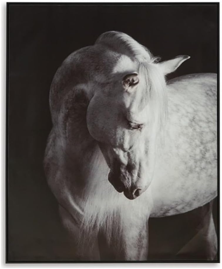 Elegant Black and White Equine Canvas Wall Art, 40 x 50 Inches