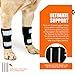 NeoAlly- Front Leg Brace for Dogs & Cats, Dog Leg Brace with Metal Spring Inserts, Dog Leg Sleeve for Carpal Support, Dog Leg Sleeve with Reflective Straps, XXS/XS, Pair