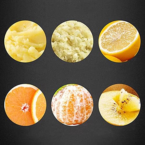 Lancoon Potato Ricer, Stainless Steel Masher Fruit Vegetable Press Juicer Crusher Squeezer KT18