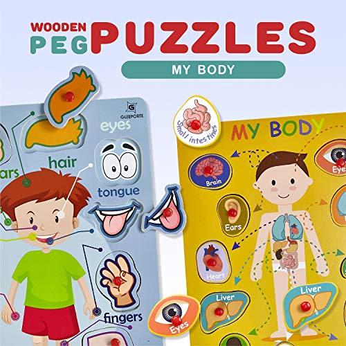 Gleeporte Wooden Peg Puzzle, My Body - Inside & Outside Parts - Pack of 2 Learning Educational Pegged Puzzle Boards for Toddler & Kids - (Set of 2)
