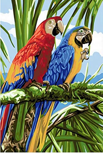 Peinture au diamant 5D perroquet kit complet loisir créatif