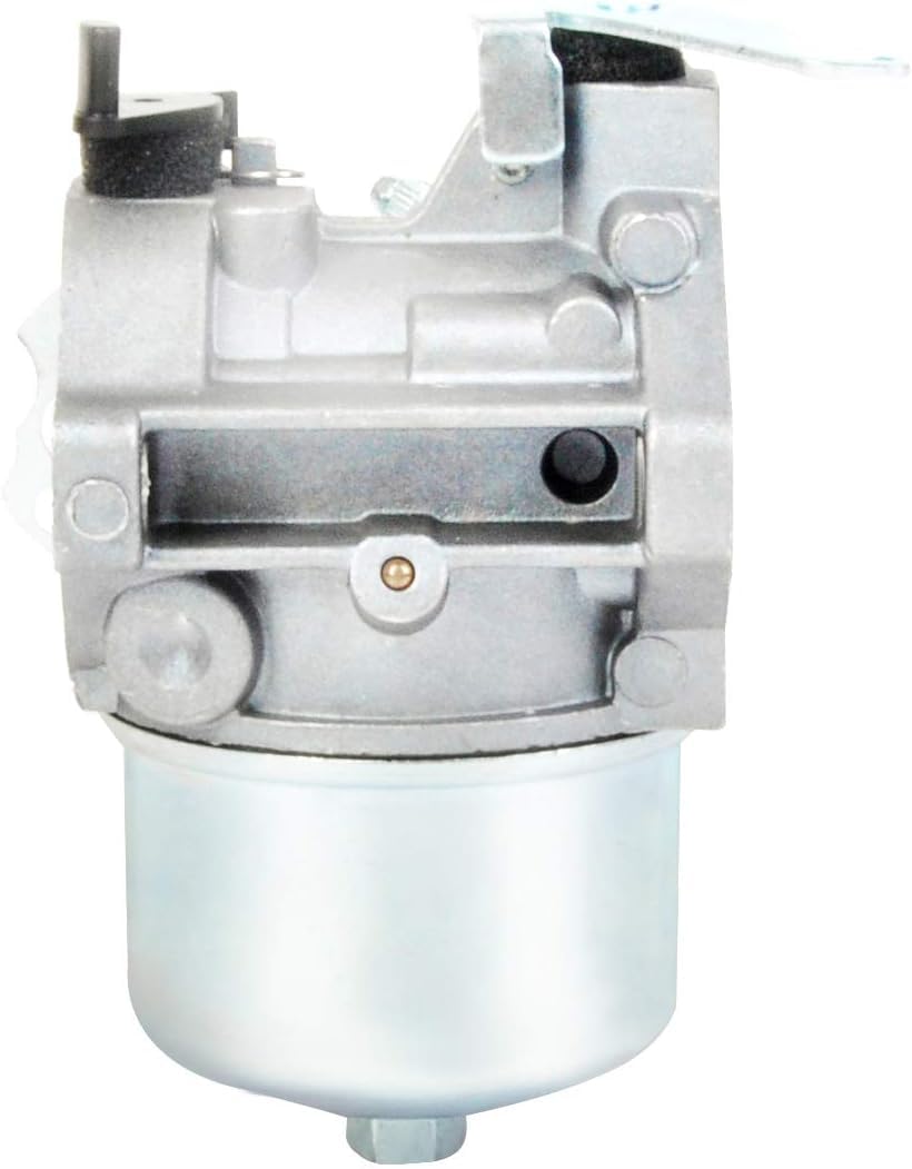 Amazon.com: Carburetor For Briggs Stratton 256427-1162-E1 256427
