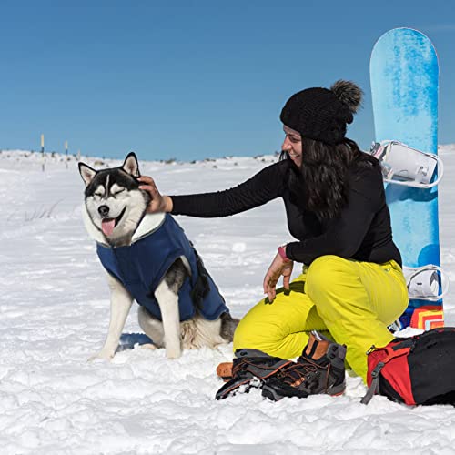 Emust Dog Cold Weather Coats, Fleece Lining Small/Medium/Large Dog Jacket For Winter, Warm Waterproof Dog Winter Clothes For Large Dogs, Blue Xl #TOP5