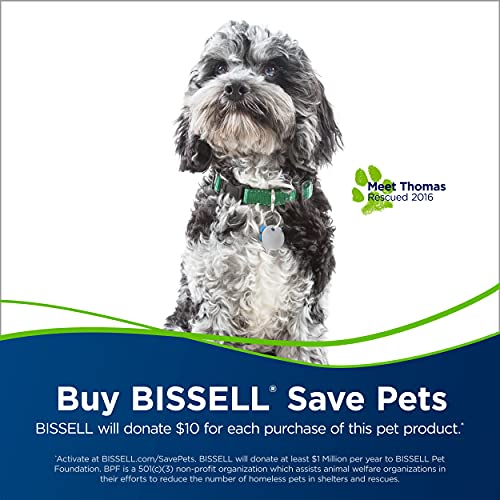 Bissell - Hand Vacuums - PowerClean Pet Cordless - with Motorized Brush, Upholstery Tool and Crevice Tool| 2389D