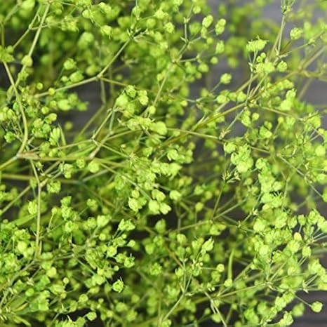 新品即決 添景用 建築模型 木 樹木 まとめ売りruru 様専用ページ カスミソウ 模型製作用品