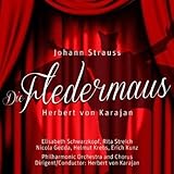  Die Fledermaus