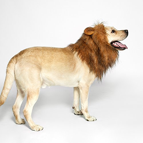 image for TOMSENN Dog Lion Mane - Realistic & Funny Lion Mane for Dogs - Complem