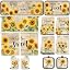 Sunflower 2