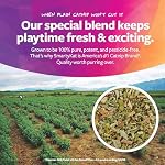 SmartyKat Natural Catnip Canister, 100% Natural Cat Nip for Cats, Premium Dried Catnip for Indoor Cats, Positive Training Aid for Play and Exercise, Resealable Shaker Bottle, 2 Ounces - Image 5