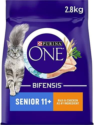 Purina ONE Adult Dry Cat Food Rich in Salmon 800g (Case of 4)