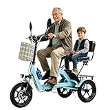 HZWJD 14-Zoll-Elektrofahrrad,Elektrisches Hybridfahrrad,Ausgestattet Mit Einem Herausnehmbaren 48V/10.4Ah-Lithium-Akku,Faltbares 3-Rad-Elektrofahrrad,Maximale Tragfähigkeit 150 Kg Blue