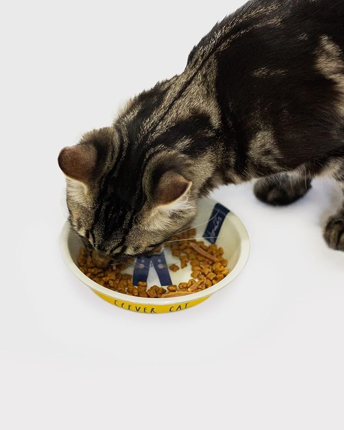 Rosewood Joules Mustard Yellow Cat Bowl With Clever Cat Print - 380ml Food Or Water Dish For Pets - View #4