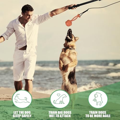 Reizangel Hunde Große Hunde, Profi Reizangel für Hundes längenverstellbar 124cm für Längenverstellbar mit 2 Seil Spielzeug, Hundespielzeug Ausziehbar aus Aluminiumlegierung Für Mittlere & Große