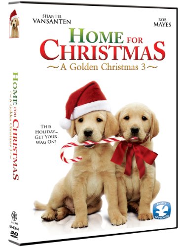 Home For Christmas: A Golden Christmas 3 - //coolthings.us