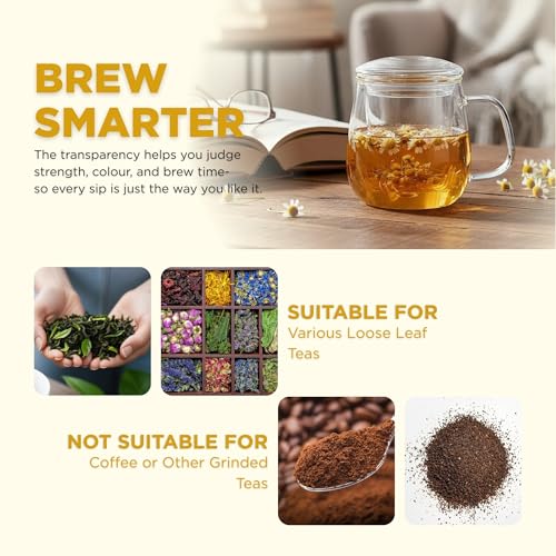 Image of Glass Tea Cup with Infuser & Lid | Heat Resistant, Thick Clear Borosilicate Glass Tea Infuser Mug for Loose Leaf Tea | Perfect for Corporate Gifting or Birthdays | 420ml