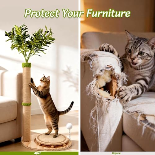 Catails 39" Tall Cat Scratching Post, Cute Olive Cat Scratcher, Interactive Cat Toys with Ball Track & Spring Ball, Sturdy Cat Scratch Post with Pad for Indoor Cats Adults and Kittens — view 6