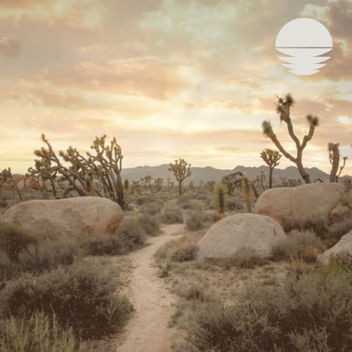  Joshua Tree