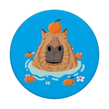 かぴぱら An adorable sleeping baby capybara [AniTouch Nagoya, Japan