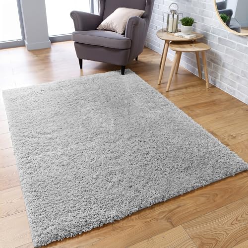 DTXDTech Luxury Shaggy Rugs for Living Room & Bedroom - Super Sof...