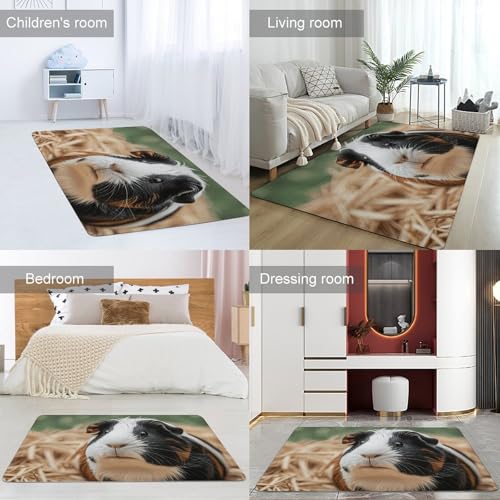 Grand tapis de bain antidérapant velours corail cochon d'Inde lavable - 5