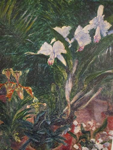Toile orchidées Petit Gennevilliers Caillebotte pour créer un jardin d'hiver dans votre bureau
