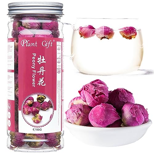 Plant Gift Peony Ball (Paeonia lactiflora) Pink Fragrance Ball Natural Secied Peony Flowers, Hierbas Accesorios Decoraciones, Peonía China Té, Peonies Tea 50G/1.76oz