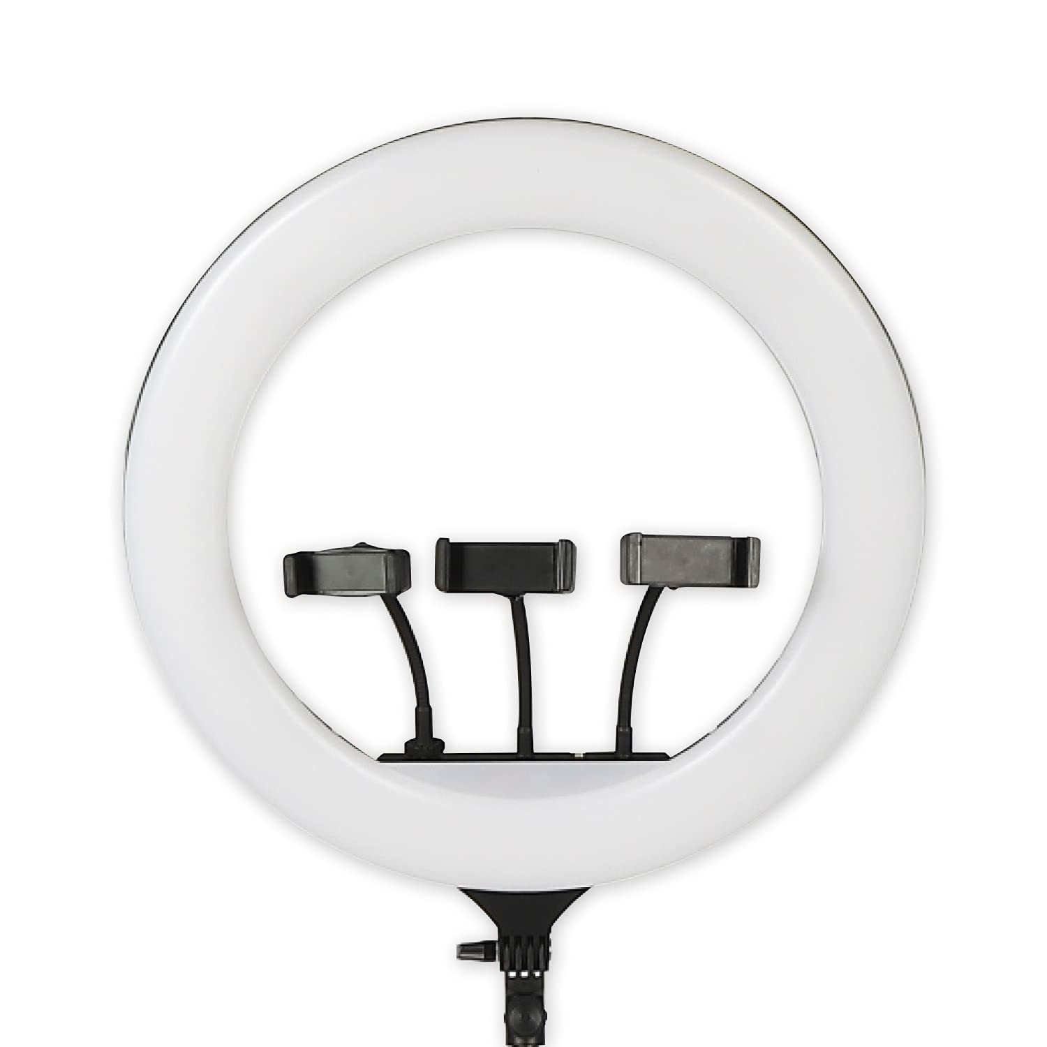 HOLD UP Professional 46 Cm Big Led Ring Light With 2 Color Modes Dimmable Lighting | Photo-Shoot | Video Shoot | Live Stream | Makeup & Vlogging | Compatible WithiPhone/Android Phones & Cameras (B0CQWHDRWX) Amazon Price History, Amazon Price Tracker