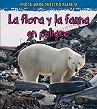 La vida silvestre en peligro do extinction (Proteger nuestro planeta) (Spanish Edition)