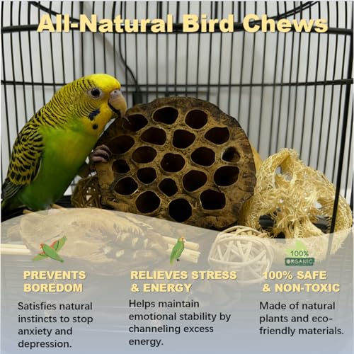 Bird Toys - Lotus Pod Foraging Box, 10 Natural Ingredients | Chewing and Shredding Parrot Toys | Ideal for Parakeets/Cockatiels/Conures/Lovebirds and Small to Medium Birds - Image 5