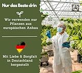 EXVital HANFÖL Kapseln - hochdosiert & kaltgepresst | 365 Kapseln (Jahresvorrat) | 1000mg je Kapsel | Laborgeprüft | pflanzliche Omega 3,6 + 9 - Hanfsamenöl | Made in Germany
