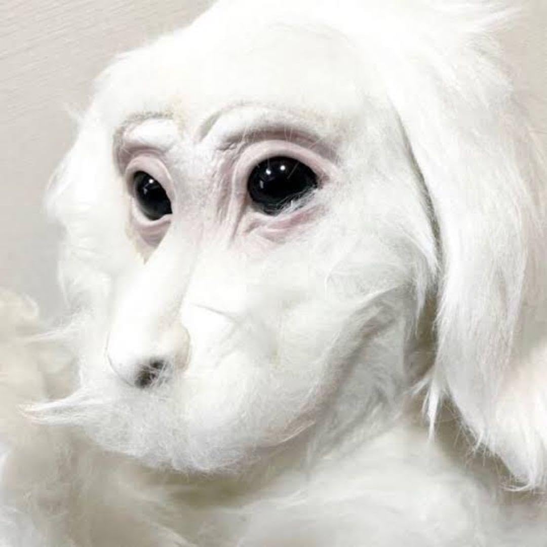 Amazon.co.jp: 特大80㎝ ファルコン ネバーエンディングストーリー