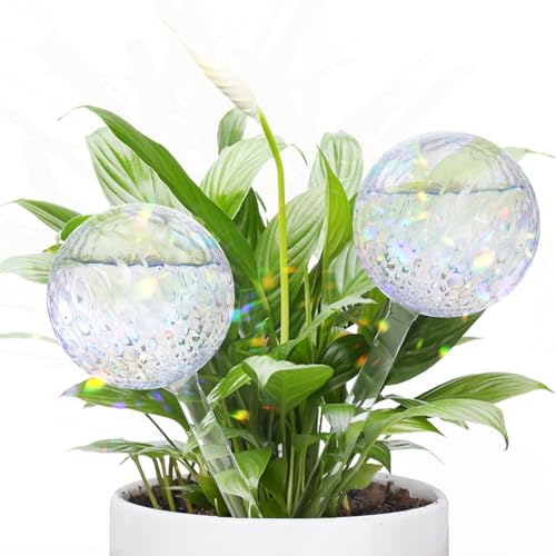 FLORA GUARD Watering Globes for Indoor Plants, 2-Pack