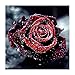 Produktbild Soleebee 5D DIY Diamant Full Malerei Leinwand Strass Malerei Stickerei Bilder Kunst Handwerk Diamant Painting Full Kits für Haus Wand Dekor (30 x 30 cm - Rose)