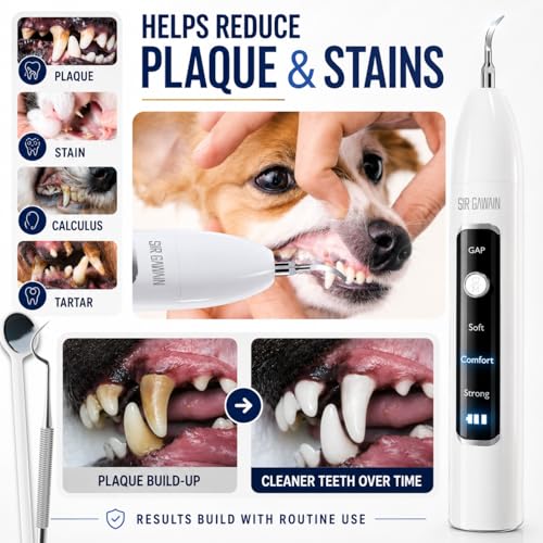 Image of SIRGAWAIN Pet Ultrasonic Dental Cleaner - Plaque, Tartar & Stains Remover, 4 Tips, 3 Modes, LED, Contact-Activated & Smart Touch Protection, Complete Cleaning Kit for Dogs & Cats