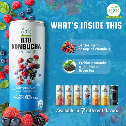 Image of RTB KOMBUCHA Health Mixed Berries Drink - Pack of 250ml | Helps in Immune System & Digestive System(Kombucha Culture, Fruit Pulp & Organic Sugar)